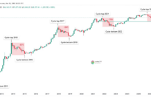 Bitcoin Bear Market Could Be Shrinking, But Are We Watching History Repeating Itself?